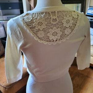 Elegant Cream Lace Back Sweater